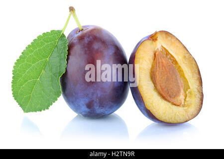 Plums plum prunes prune fresh fruit isolated on a white background Stock Photo