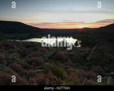 Dovestone Reservoir with sunset over Wharmton and heather from below Great Dove Stone Rocks Greenfield Stock Photo