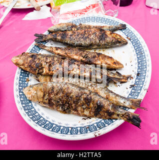 A plate of freshly grilled sardines. Six mackerel or sardines grilled to perfection on a oval dinner plate. Stock Photo
