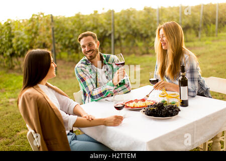 Young people enjoy dinner and wine tasting in the vineyard Stock Photo