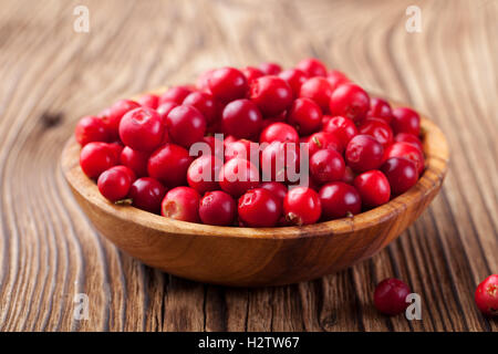 Cowberries, red bilberries, cranberries Stock Photo