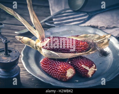 Red corn cobs on plate Stock Photo