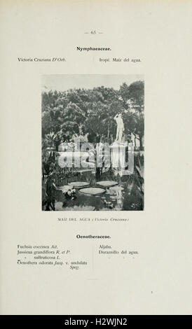 El Jardín botánico de Buenos Aires (Page 65) BHL166 Stock Photo