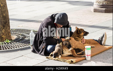 Paris; france-November 22, 2015: The unidentified homeless with dogs on Champs Elysees avenue in Paris, France. Stock Photo