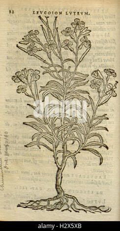 This botanical work covers the history of plants and their medicinal ...