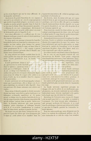 This comparative anatomy atlas focuses on the anatomical features of ...