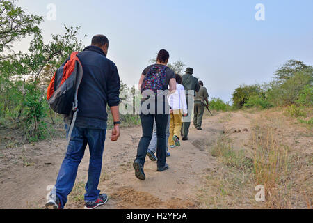 Ranger and group of tourist on a 5 am bushwalk (walk outside the electric fences of the camps) sighting wild animals,Kruger National Park,South Africa Stock Photo
