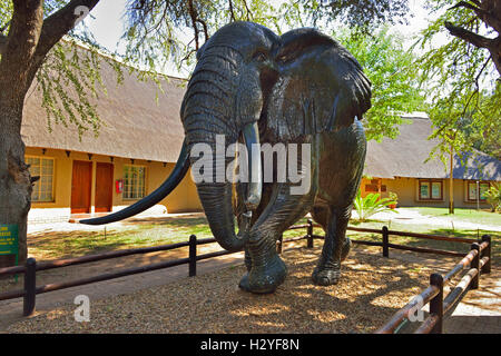 Elephant statue outside  the Letaba Elephant Museum,Letaba  Rest Camp, Kruger National Park South Africa Stock Photo