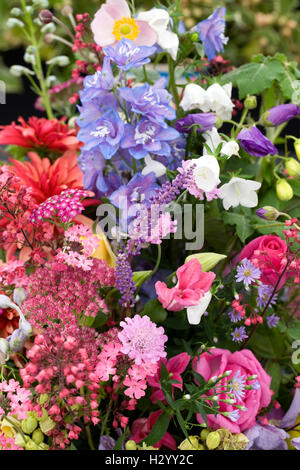 An Autumn cut flower arrangement. Stock Photo