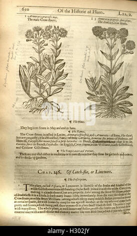 This historical botanical work provides comprehensive descriptions of ...