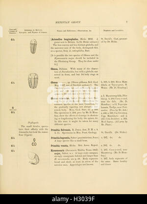 A catalogue of the collection of Cambrian and Silurian fossils contained in the Geological Museum of the University of Cambridge (Page 7) BHL137 Stock Photo