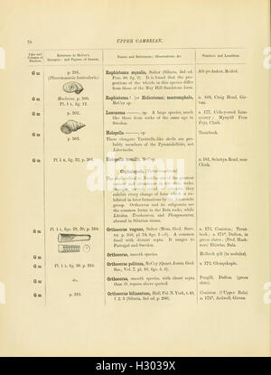 A catalogue of the collection of Cambrian and Silurian fossils contained in the Geological Museum of the University of Cambridge (Page 70) BHL137 Stock Photo