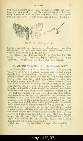 Catalogue of Lepidoptera Phalaenae in the British Museum (Page 273) BHL184