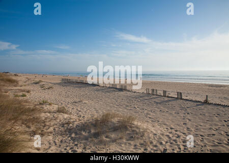 landscape from dune of Vejer Palmar Beach seaside with golden sand, blue green turquoise ocean water, waves and horizon blue cle Stock Photo