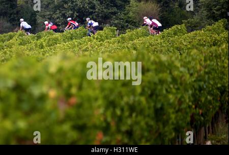 Tuscany, Italy. 2nd Oct, 2016. Cyclists ride past a vineyard during the 'Eroica' cycling event for old bikes in the Chianti area of Tuscany, Italy, on Oct. 2, 2016. More than 6,000 cyclists from 65 countries and regions, wearing vintage cycling jerseys, riding vintage bicycles built in 1987 or earlier, took part in the 'Eroica' (heroic) cycling event through the Strade Bianche, the gravel roads of the Chianti area of Tuscany. © Jin Yu/Xinhua/Alamy Live News Stock Photo