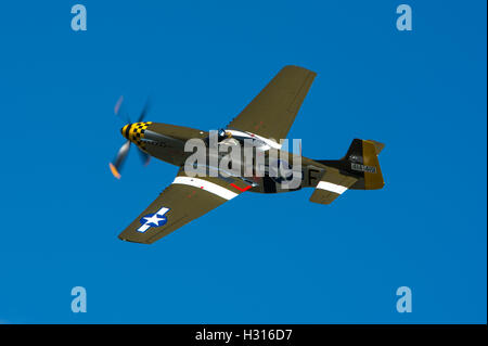 P51 Mustang 'Janie' at The Cosby Victory Show before tragically crashing at Norfolk Stock Photo