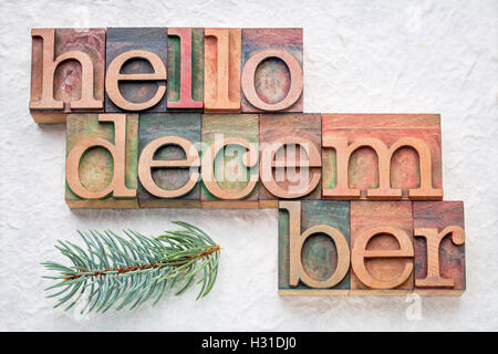Hello December greeting card - letterpress wood type blocks against white lokta paper with a branch of Colorado spruce Stock Photo