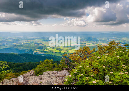 View of the Shenandoah Valley from Stony Man Mountain, in Shenandoah National Park, Virginia. Stock Photo