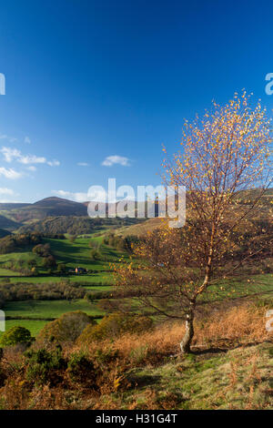 Autumn near Llangollen from summit of Coed Hyrddyn looking to mountains Denbighshire North Wales UK Stock Photo