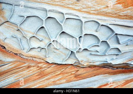 Shapes and patterns of weathered Sydney sandstone sculpted by wind and water, on the New South Wales coast. Textured background Stock Photo