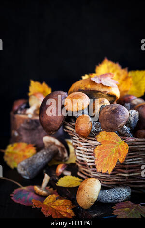 Autumnal wild forest edible mushrooms (boletus) in basket Stock Photo