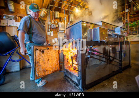 Man checking the fire on an evaporator for maple syrup in Gorham, Maine. Stock Photo