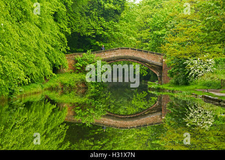 Stunning view of emerald woodlands severed by Llangollen canal with historic stone arched bridge & trees reflected in surface of water in Britain Stock Photo