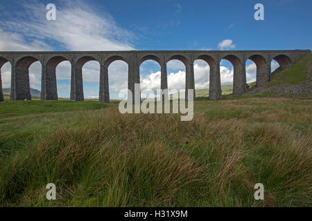 Historic long & high Ripplehead viaduct stretching across Yorkshire moors with grasses in foreground and under blue sky in England Stock Photo