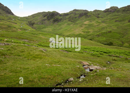 Narrow road snaking up through treeless grassy hills at Hardknott Pass in Lake District, Cumbria, England Stock Photo