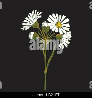 Hand drawn colorful bouquet of chamomile flowers isolated on black background. Vector illustration Stock Vector