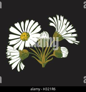Hand drawn colorful bouquet of chamomile flowers isolated on black background. Vector illustration Stock Vector