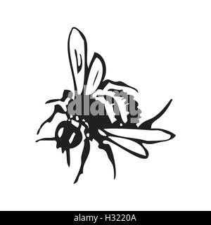 Vector engraving antique illustration of honey flying bee, isolated on white background. One flying bee Stock Vector