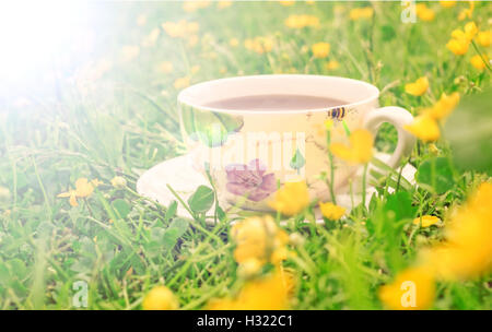 Cup of tea on saucer among yellow flowers on grass Stock Photo