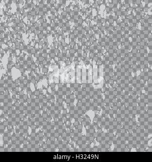 Silver explosion of paint splatter. Isolated on transparent gray background. White, gray glitter and sprinkles. Grainy abstract  Stock Vector