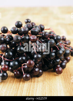 Save Download Preview Sambucus nigra - Elderberry on the wooden background Stock Photo