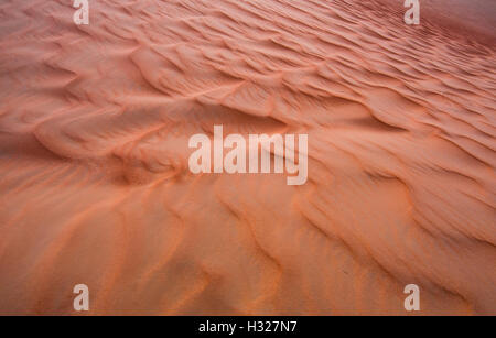 Sand dunes of the Empty Quarter desert, covering large area in UAE, KSA and Oman Stock Photo