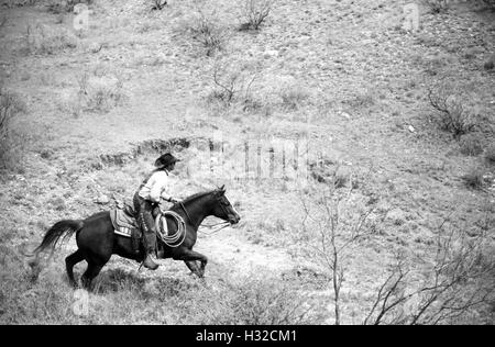 Cowboy coffee is being brewed in enamelware pots that are heated over a  wood fire during a rest stop on a horseback trail ride in Alberta, Canada  Stock Photo - Alamy