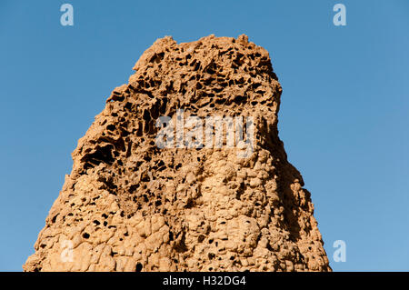 Termite Mound Texture - Australia Stock Photo