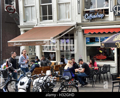 Rock Nieuwmarkt Amsterdam Coffee Shop Joint Hashish Gras Cannabis Marijuana Drugs Dope  Drugs cannabis  ( Red Licht District ) The Netherlands Stock Photo