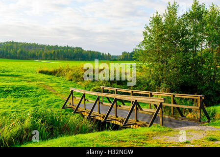 Small wooden bridge over a narrow stream in morning sunlight. Farmers field and distant forest in background.