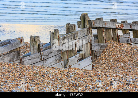 Old encrusted Groynes on the Beach Near Eastbourne Sussex at low tide Stock Photo