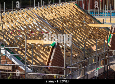 Roofers, workmen on piched roof;  New Build houses, with roofs, roof trusses, rafters or spars, Construction nearing completion in Buckshaw Village, near Chorley, Lancashire, UK Stock Photo