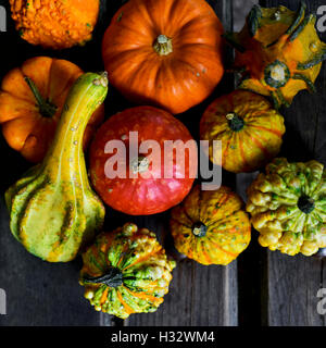 high-angle shot of some different pumpkins on a rustic wooden slates surface Stock Photo