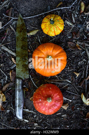 high-angle shot of a rusty knife and three different pumpkins on the ground, in the garden or the woods Stock Photo