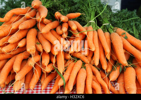 Freshly picked carrots on dsplay Stock Photo