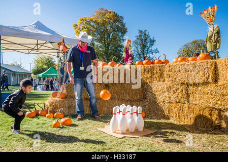 Pumpkin bowling at Fall Fair, Pandora Park, Vancouver, British Columbia, Canada Stock Photo