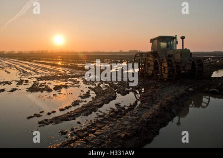 Old tractor with plow wheels in a flooded rice field at sunset. Mud in the field with wheel tracks in the water. The sun approaching the horizon Stock Photo