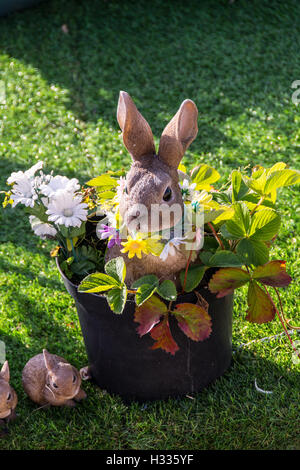 Easter Bunny in a flower pot Stock Photo