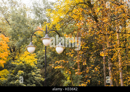 colorful trees in autumn and some street lamps Stock Photo