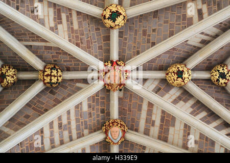 Decorated fan vaulting, nave, Saint-Pierre Cathedral, Detail, Exeter, Devon, England, United Kingdom Stock Photo